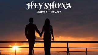 Hey Shona | Slowed + Reverb Version | Ta Ra Rum Pum | Saif Ali Khan, Rani Mukerji