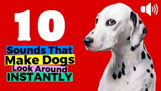 10 Sounds That Dogs Love & Make Dogs Look Around INSTANTLY 🐶