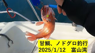 2025/1/12 甘鯛、ノドグロ釣行