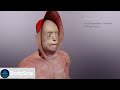 Face Transplant 3D Animation