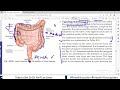 chp20 introduction to large intestine bdc vol2 dr asif lectures