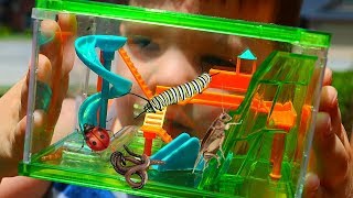 Caleb Pretend Play with REAL Bugs Playground For Insects with Fun and Crazy Kids Aubrey