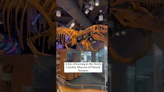 NC Museum of Natural Sciences visit #science #raleigh #northcarolina #history #historymatters