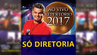 ALEMÃO DO FORRÓ - 13 SÓ DIRETORIA [REPERTÓRIO NOVO 2017]