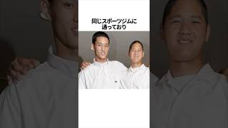 大谷翔平と藤浪晋太郎の絡みの雑学【総集編】 #野球 #大谷翔平 #藤浪晋太郎 #糸井嘉男 #野球雑学