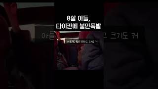 타이칸보다 카니발이 좋은 이유