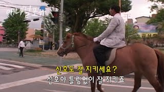 전남 담양군 시내에서 말 타고 돌아다니는 아저씨 ㅋㅋㅋ 대박..  | KBS 주주클럽 080525 방송