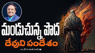 Moses At The Burning Bush | మండుచున్న పొద దేవుని సందేశం | Dr. Noah