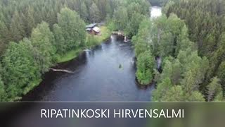 RIPATINKOSKI | HIRVENSALMI | ETELÄ-SAVO