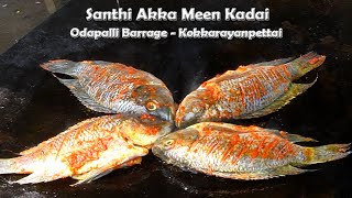 Santhi Akka Kadai | Odapalli Barrage - Kokkarayanpettai | MG Vlogs