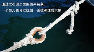 何为因果关系、因果律、因果线以及因果倒置，物理因果和行为因果的区别