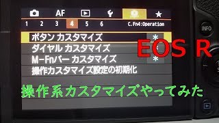 【EOS R】操作系カスタマイズやってみた