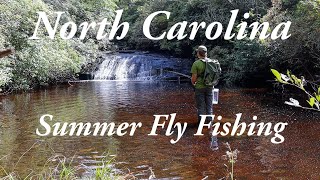 Fly Fishing North Carolina in The Summer I Hurricanes, High Country, and Crowds