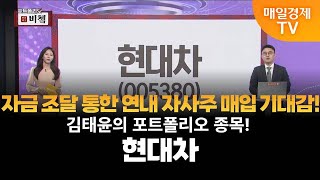 [포트폴리오 비쳌] 김태윤의 포트폴리오 종목! - 현대차 김태윤 ,MBN골드 매니저