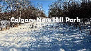 4K Calgary Walking Tour | Nose Hill Winter Hiking UHD | Alberta, Canada