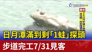 日月潭滿到剩「1蛙」探頭 步道完工7/31見客