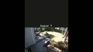 Time lapse of the seasons - 2022