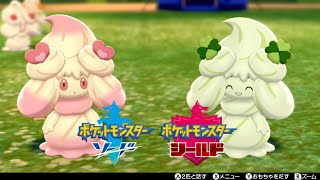 【ポケモン剣盾】マホイップとポケモンキャンプ【ポケモンソードシールド】