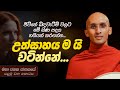 339. උත්සාහය ම යි වටින්නේ | මහා ජනක ජාතකය 1 | 2024-05-07