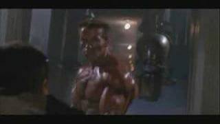 *COMMANDO* - Gone Very Wrong