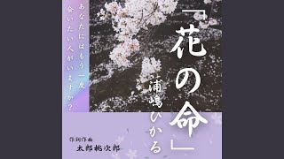 花の命 (浦嶋ひかるバージョン)