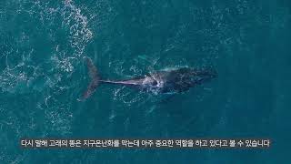 [군 대상 환경교육] ④ 기후위기