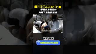 （3/3）被救助的野生大熊猫，带着家乡的竹叶，离开了蓝色的星球 #生物 #panda #自然