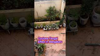 ఫెంగల్ తుఫాను లో మన ఫార్మ్ పరిస్థితి | Effect of Cyclone Fengal