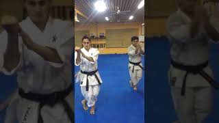 Karate Dojo Campana - Kyudokan Argentina. Kata Passai Sho