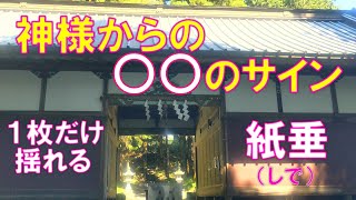 【神様からの〇〇のサイン】 1枚だけ揺れる紙垂（しで）!! そのサインとは・・・