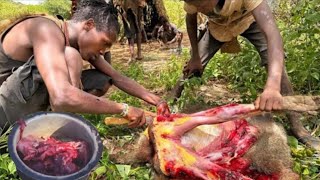 Hunt to Survive | Amazing How Hadzabe Hunt \u0026 Cook their Prey in the WILD