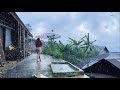 Rain in beautiful Hilly Village|| Village atmosphere||Indonesian countryside