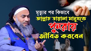 মৃত্যুর পর কিভাবে আল্লাহ তায়ালা মানুষকে পুনরায় জীবিত করবেন_Mufti Mustakunnabi Kasemi_আয়োজন টিভি