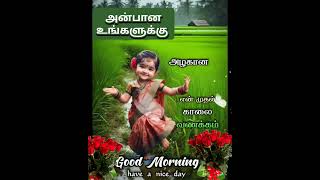 அன்புடன் இனிய காலை வணக்கம் உங்களுக்கு