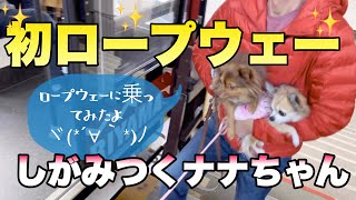 ロープウェーに乗ってみたよ～！パパにしがみつくナナちゃんチョコちゃん！高所恐怖症のママ…乗り込んだ瞬間に後悔…