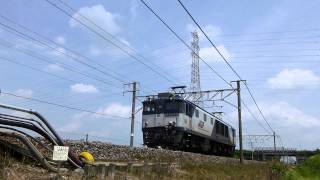 JR貨物　東海道本線　8865レ　EF64-1033号機　単機　2013.08.18