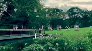 東京 野川・武蔵野公園(府中・小金井・三鷹・調布市) 2020年秋 【行楽】【散策】 enjoy holiday at Musashino-park/autumn season