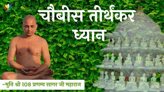 चौबीस तीर्थंकर ध्यान | Twenty Four Tirthankara Meditation | #MuniShri108PranamyaSagarJiMaharaj