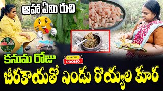 Kanuma Special Beerakaya With Endu Royyalu Recipe | బీరకాయతో ఎండు రొయ్యల కూర.. ! | #royyalurecipe