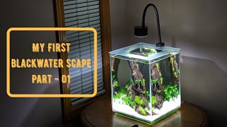 Blackwater Nano Low tech Aquascape. Part - 01