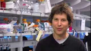 UW Medicine 2014 Annual Address: Protein Design