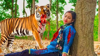 Tiger Attack On Village Girl In Forest