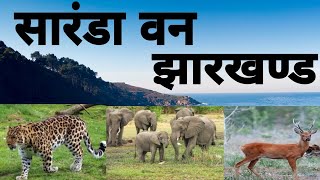 सारंडा जंगल झारखण्ड | Beauty of Saranda jungle Jharkhand | SARANDA THE GREEN HEAVEN #FACTS