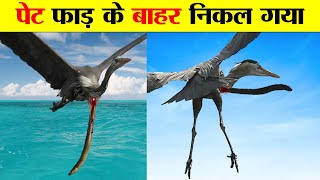 ऐसे जीव जो पेट फाड़ के बाहर निकल जाते हैं। UNUSUAL ANIMALS MOVEMENT AND PHENOMENON.