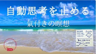 【マインドフルネスライブ】 呼吸瞑想で脳を整え自動思考を止める！Vol.2