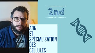 SVT seconde - ADN et spécialisation des cellules