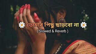 Tomar Pichu Charbo na | slowed+ reverd| New bangla Lofi Song| #lofibangla #bangladesh