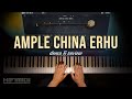 Ample Sound | Ample China Erhu | Demo & Review