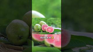 Benefits of Guava 🥑 #benefits #guava