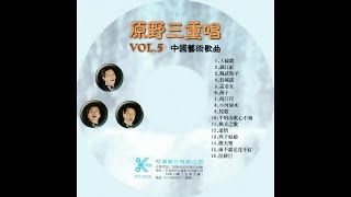 原野三重唱 - 中國藝術歌曲 Vol 5 - 07.西江月